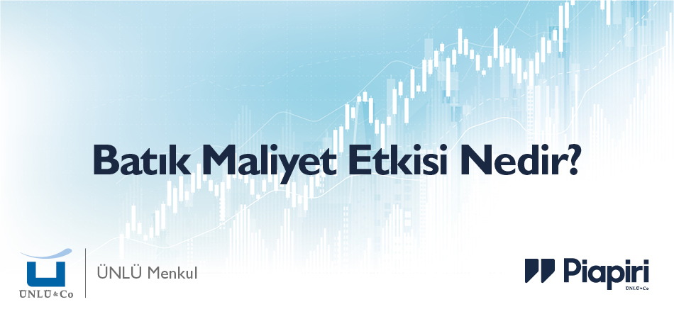 Batık Maliyet Etkisi