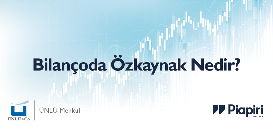 Bilançoda Özkaynak Nedir?