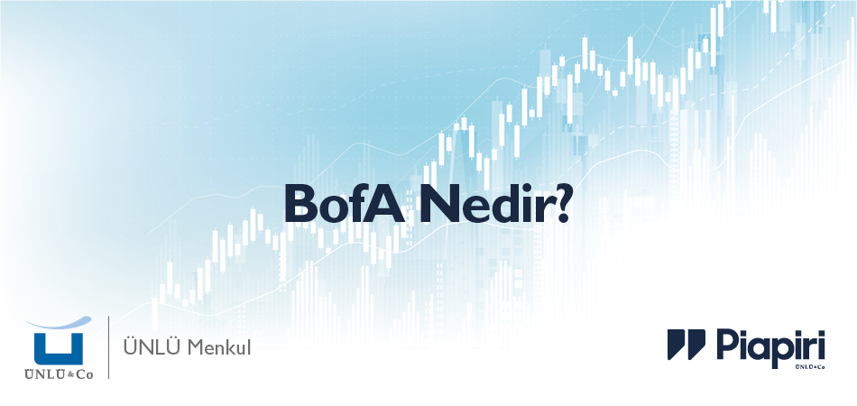 BofA (Bank of America) Nedir?