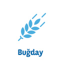 bugday-109.jpg