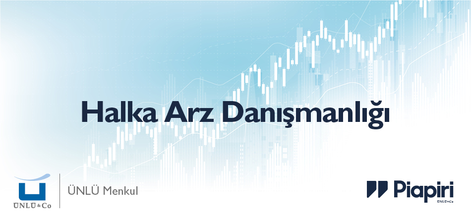 Halka Arz Danışmanlığı Nedir?
