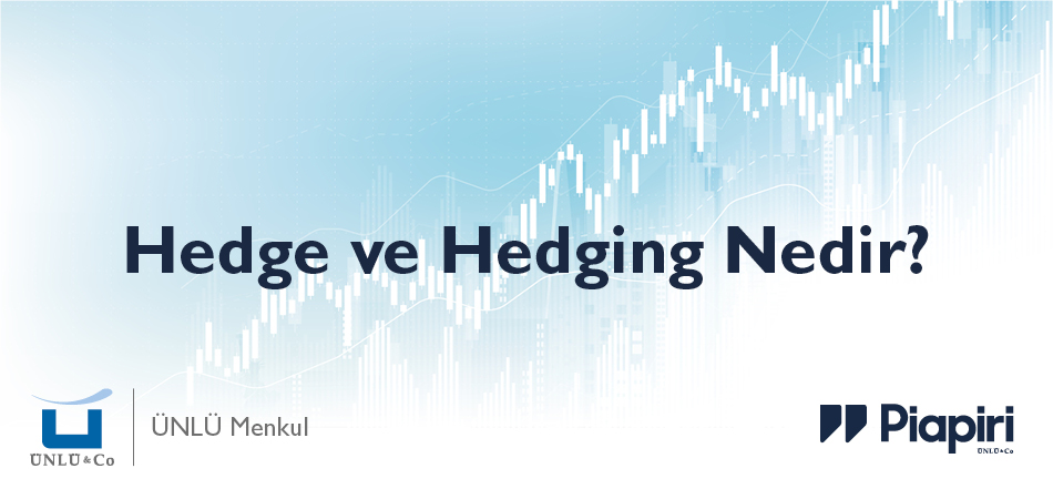 Hedge ve Hedging Nedir?
