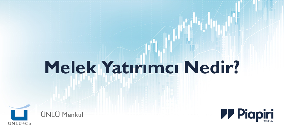 Melek Yatırımcı Nedir?