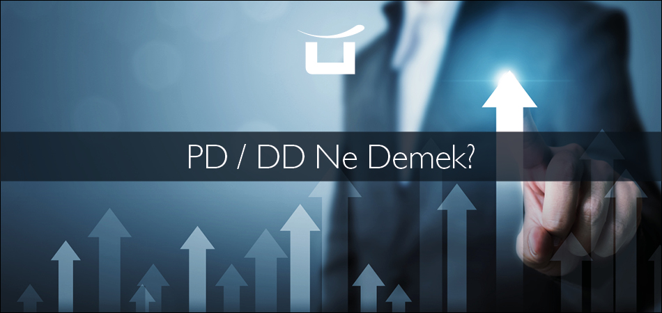 PD/DD Oranı Nedir?
